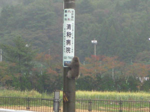 へそ公園_b0058290_13375241.jpg