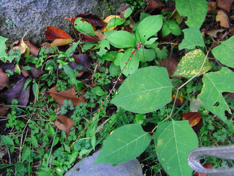 f0204094_2148315.jpg