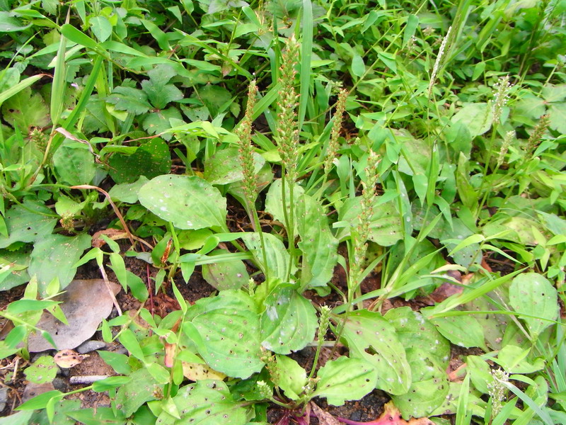 f0204094_2158238.jpg