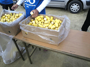 b0174996_22545033.gif