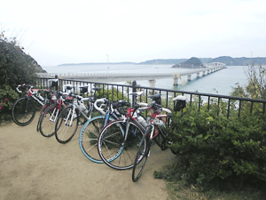 b0174996_2341538.gif