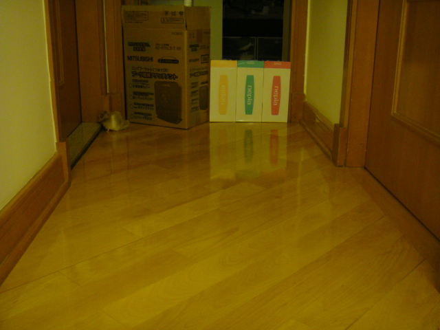 e0155496_02594.jpg