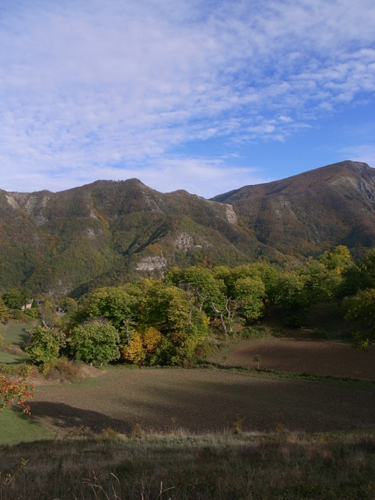 ジャガイモと栗拾い_f0106597_16584094.jpg