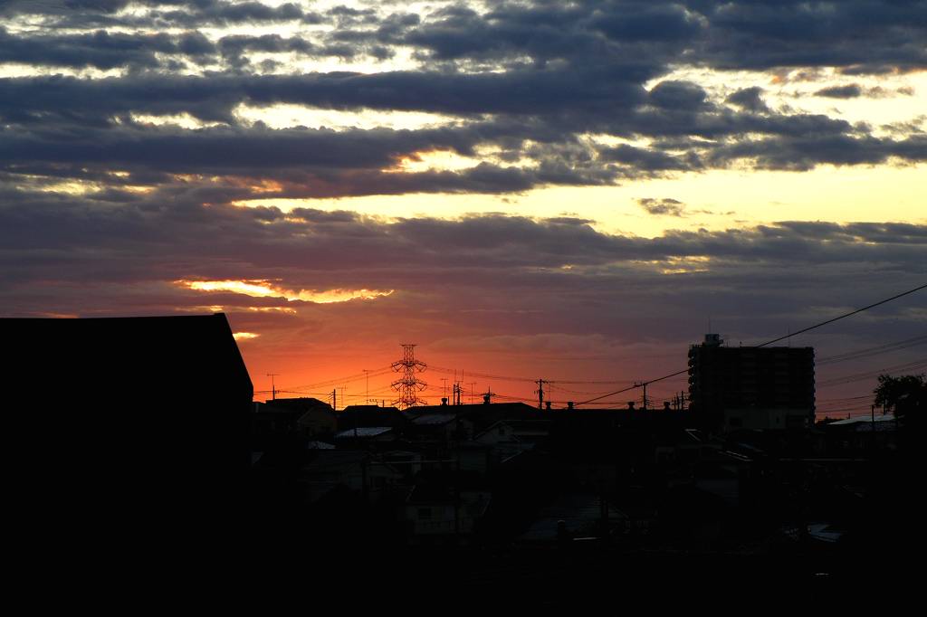 b0024798_5374598.jpg