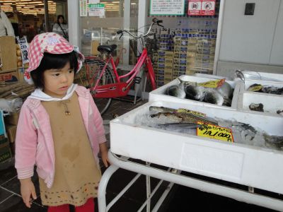 マコ、お魚のヤマスイの朝市に行く！　＆イベントのお知らせ_e0166301_1544752.jpg