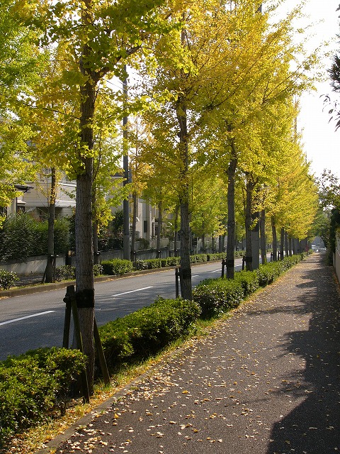 a0123003_1235018.jpg