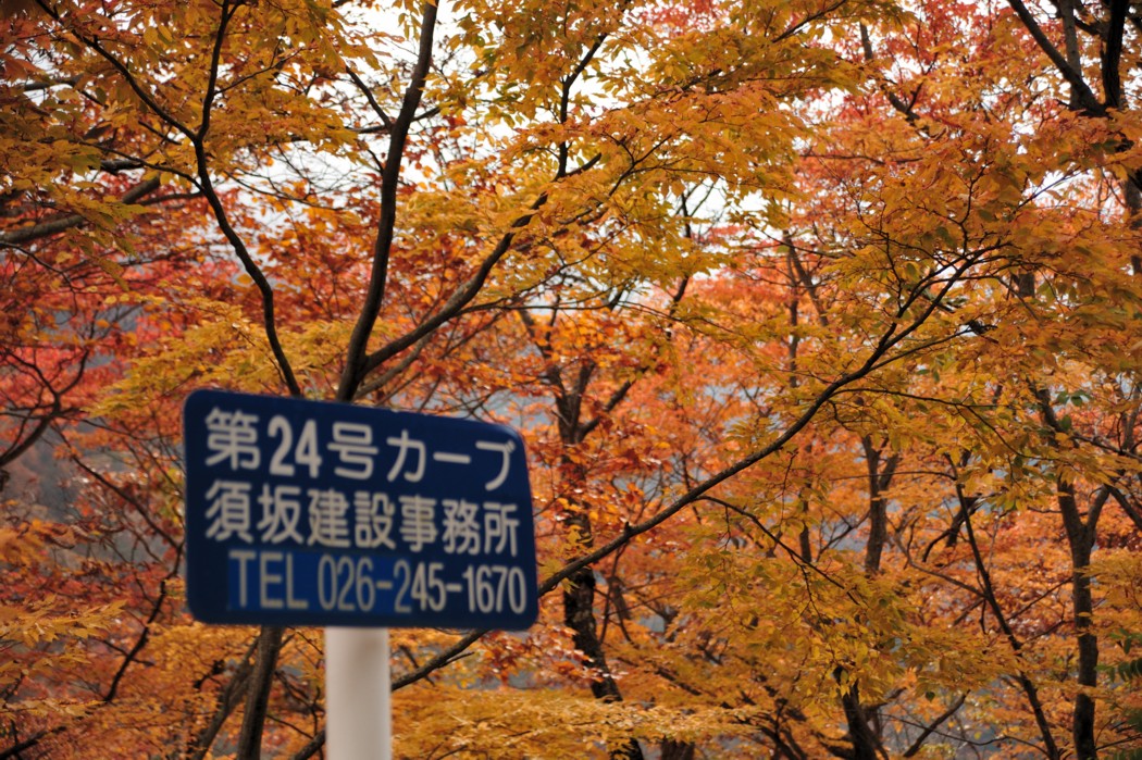 錦繍の松川渓谷を行く_c0156404_8112937.jpg