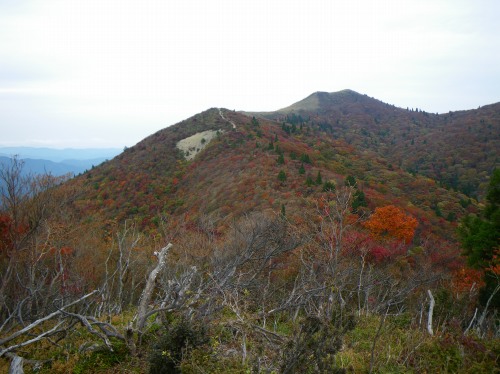 紅葉の武奈ヶ岳へ_a0078106_20285640.jpg