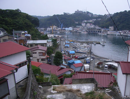 蕗のとう通信33 2009年10月29日(木)_b0129807_22464013.jpg
