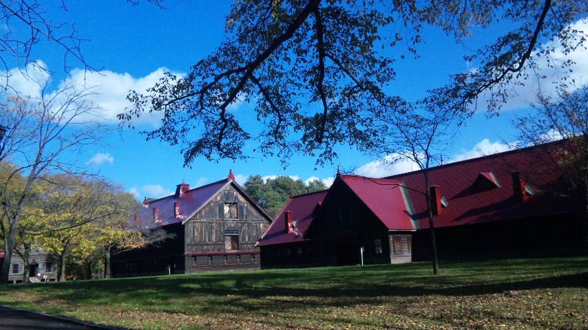 c0147909_7593722.jpg