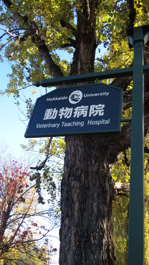 c0147909_803595.jpg