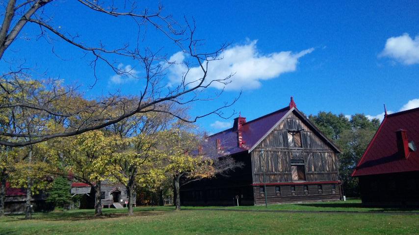 c0147909_805183.jpg