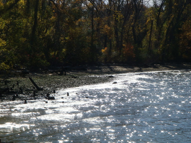 e0147716_5535269.jpg