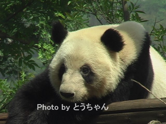f0079716_12144611.jpg