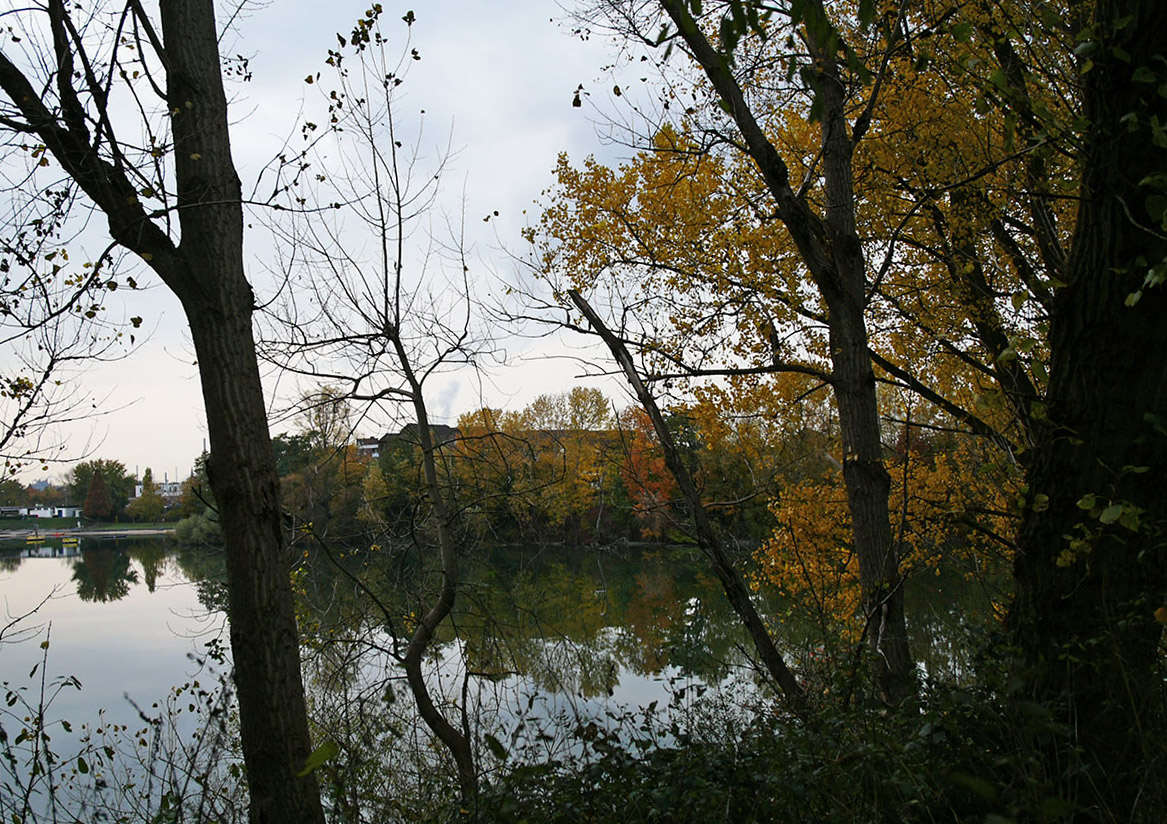 b0148617_16354138.jpg