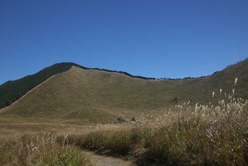 c0057221_116936.jpg
