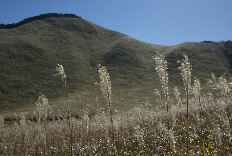 c0057221_117030.jpg