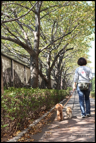 Maruと中目黒に行く。Yuzuも行く。_e0191026_1324116.jpg