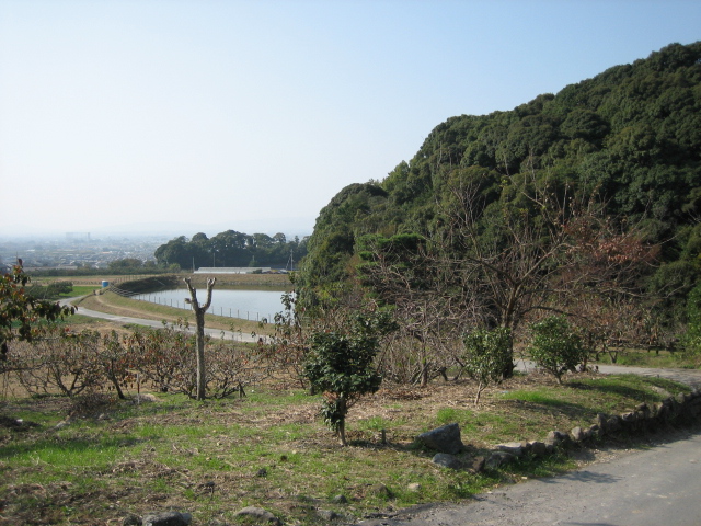 良い天気なんで山の辺の道を・・・_d0135633_14101299.jpg