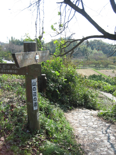 良い天気なんで山の辺の道を・・・_d0135633_14104330.jpg