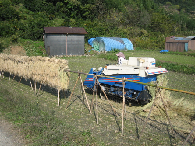 良い天気なんで山の辺の道を・・・_d0135633_14114196.jpg