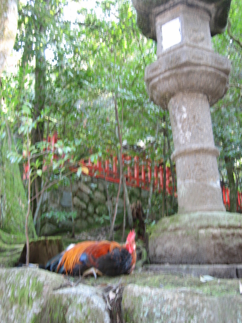 d0135633_141181.jpg