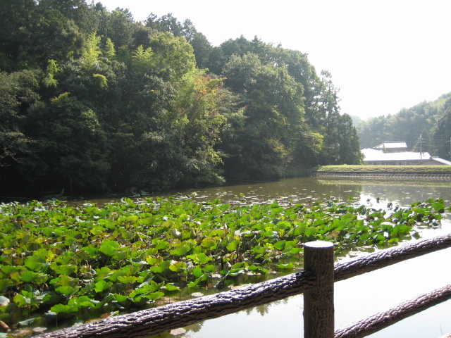 良い天気なんで山の辺の道を・・・_d0135633_1434669.jpg