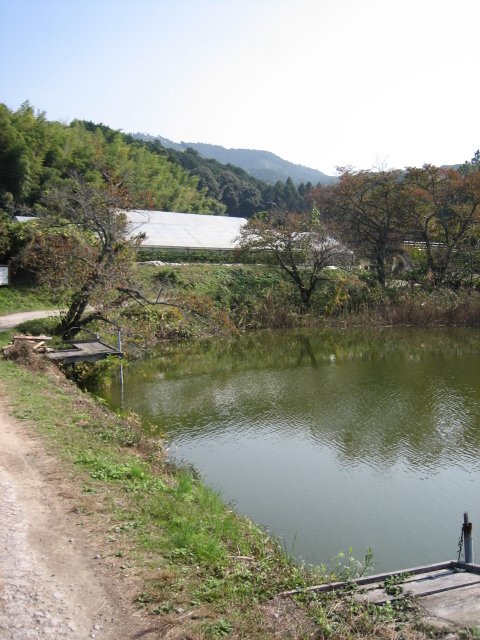 良い天気なんで山の辺の道を・・・_d0135633_145156.jpg