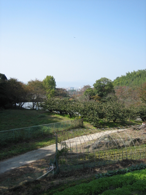 d0135633_145427.jpg