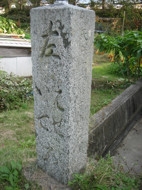d0135633_1455942.jpg