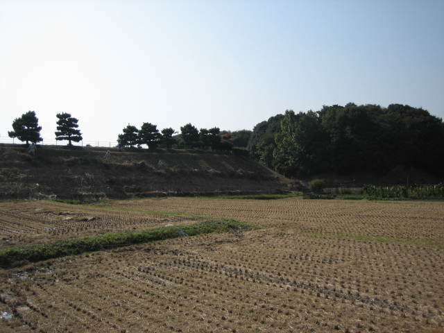 d0135633_1482510.jpg