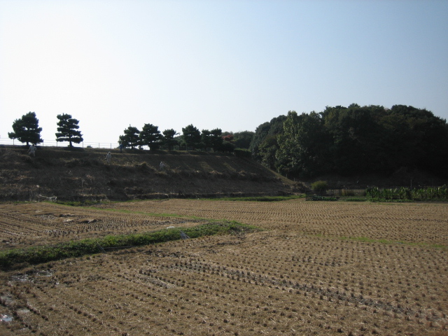 良い天気なんで山の辺の道を・・・_d0135633_1482510.jpg