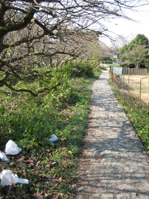 良い天気なんで山の辺の道を・・・_d0135633_1491754.jpg