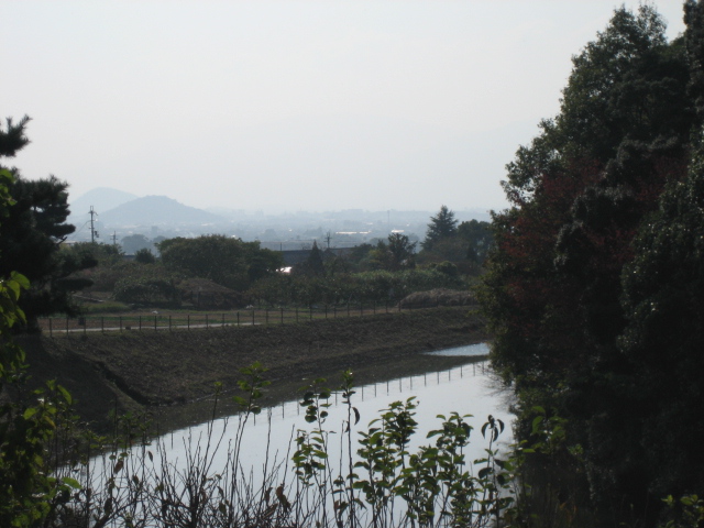 d0135633_1494574.jpg