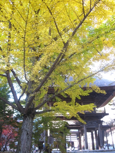 霊松寺の紅葉!_b0140235_12281371.jpg