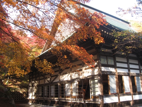 霊松寺の紅葉!_b0140235_12315433.jpg