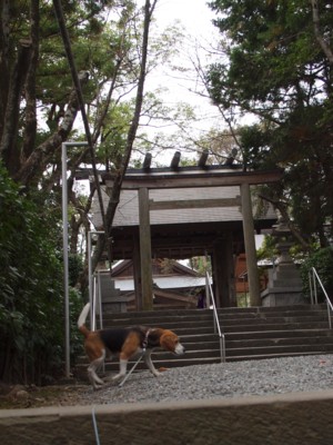 c0119142_237131.jpg