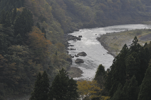 c0093046_746539.gif