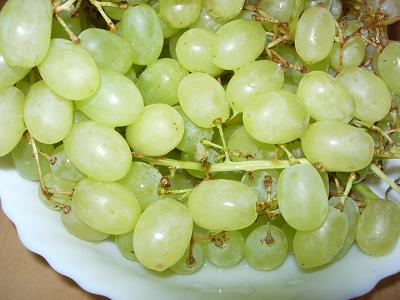この葡萄が甘い甘い。_f0174549_1431084.jpg
