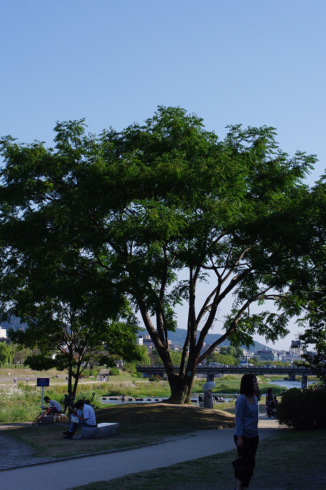 鴨川で木陰のおねぇさんを..._f0152550_21158100.jpg