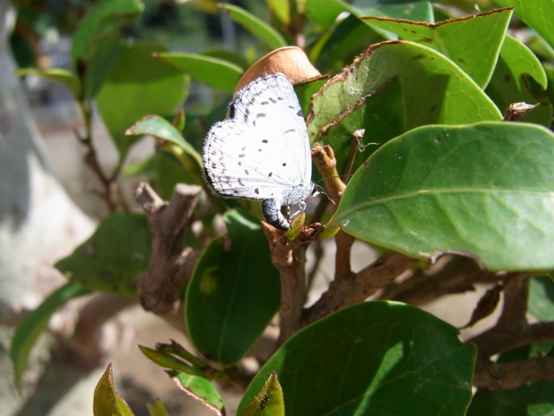 c0142963_6263648.jpg