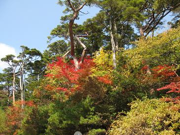 紅葉の霧島_f0203772_10277100.jpg