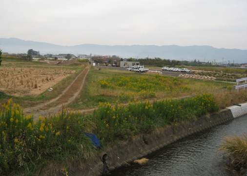 a0087378_4514566.jpg