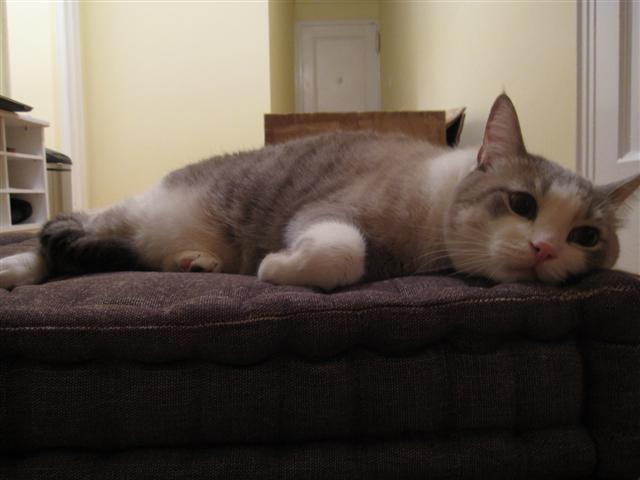 b0052192_13322630.jpg
