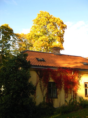 c0180096_815559.jpg