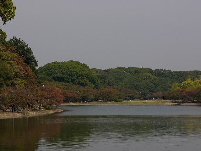 a0123003_211432100.jpg