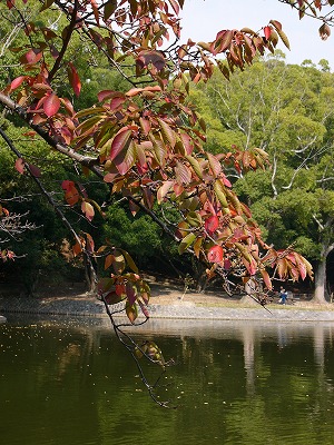 a0123003_21155520.jpg