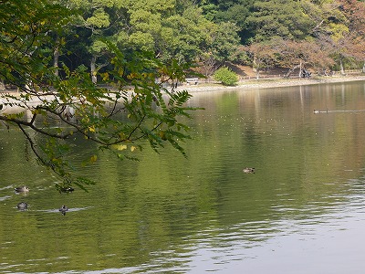 a0123003_21222061.jpg
