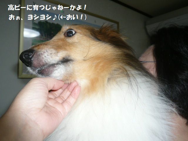 e0094407_12125075.jpg