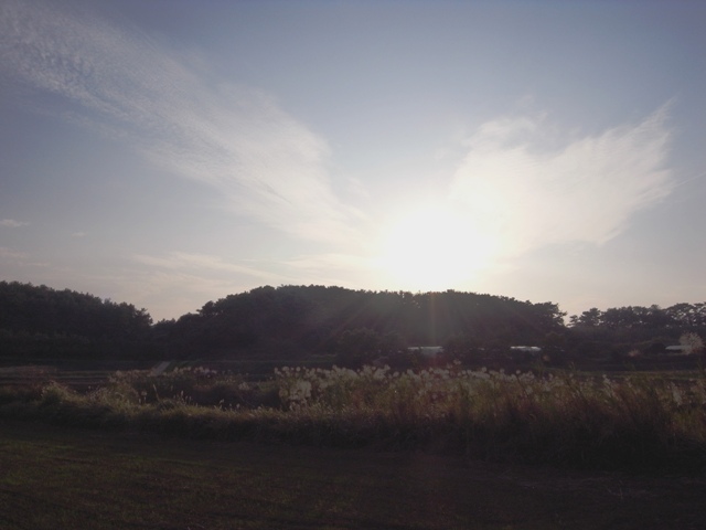c0092408_16121452.jpg